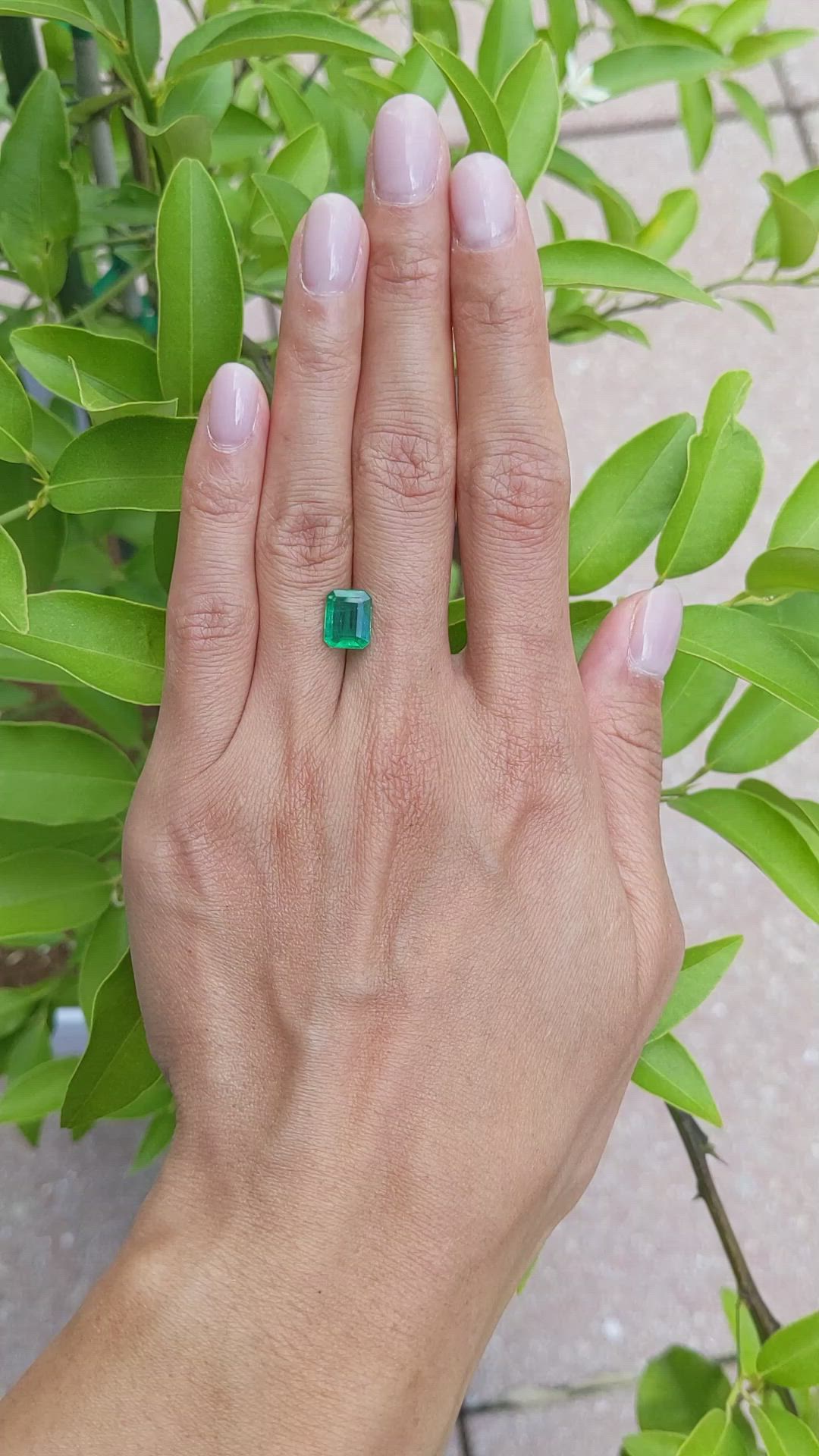 2.49 Ct. Emerald from Zambia Size Video