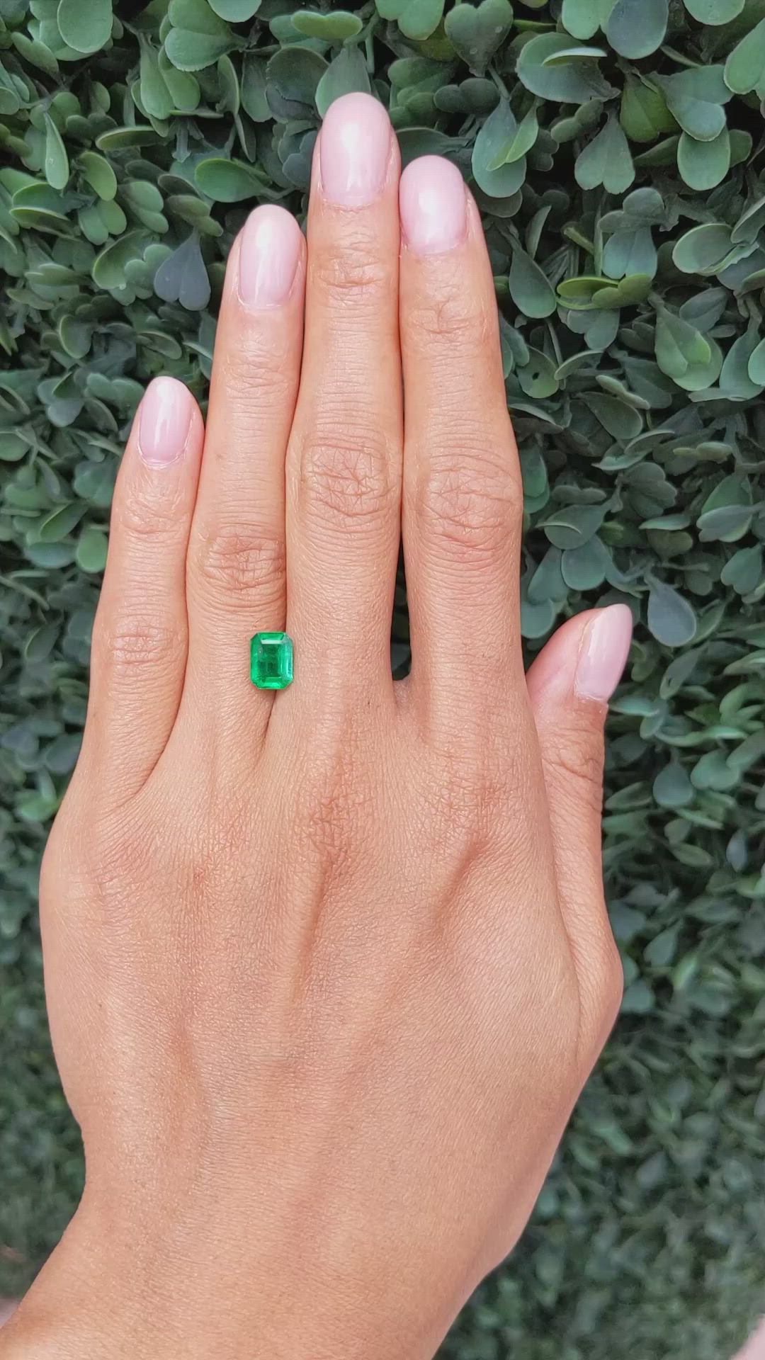1.45 Ct. Emerald from Afghanistan Size Video