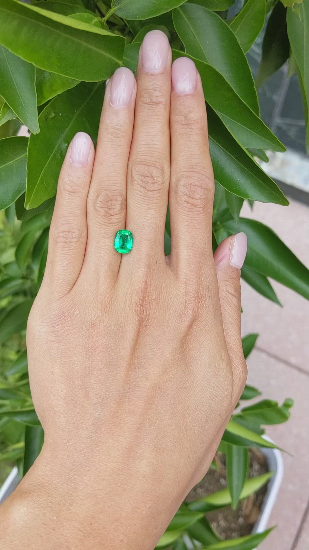1.77 Ct. Emerald from Afghanistan Size Video