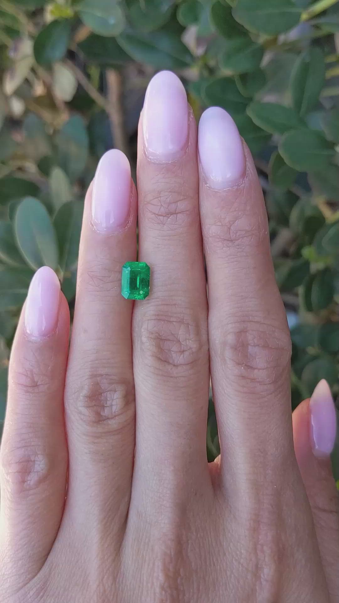 1.64 Ct. Emerald from Zambia Size Video