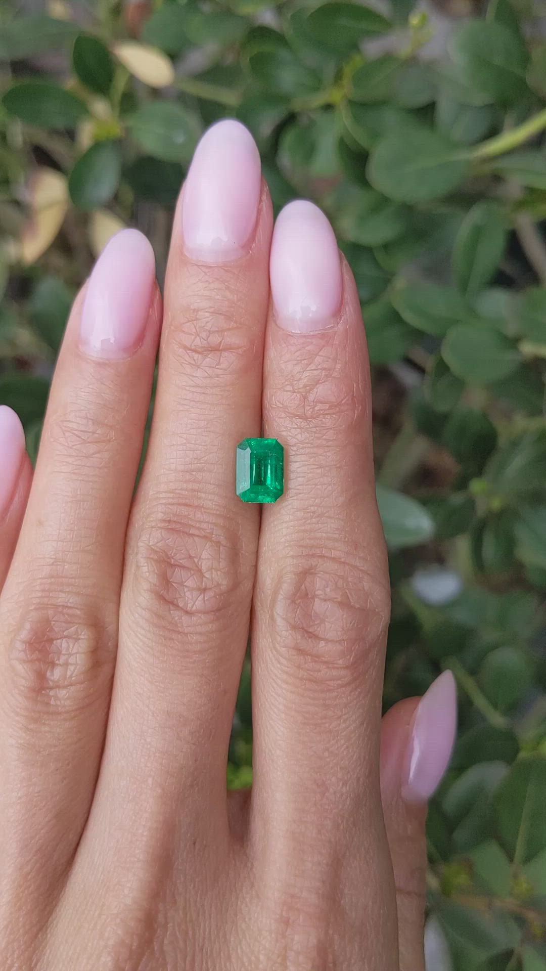 1.64 Ct. Emerald from Zambia Size Video