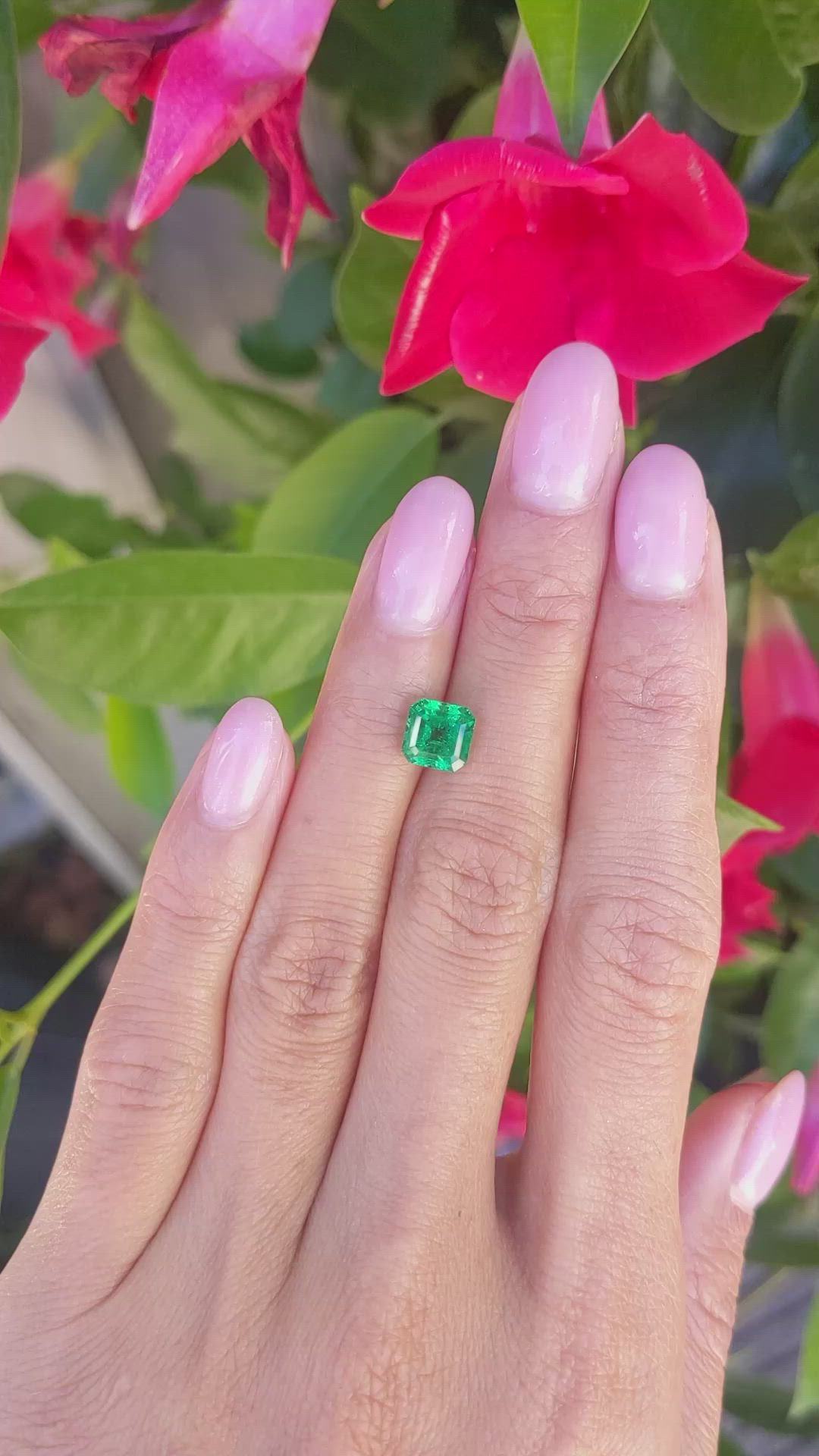 1.71 Ct. Emerald from Zambia Size Video