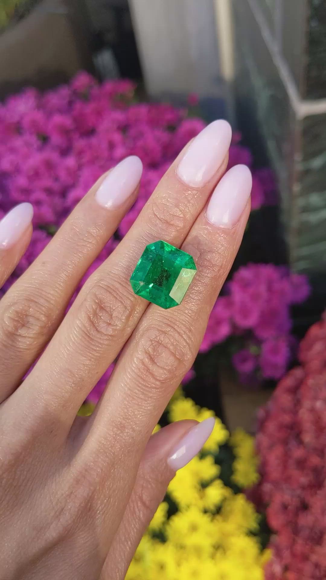 12.76 Ct. Emerald from Zambia Size Video