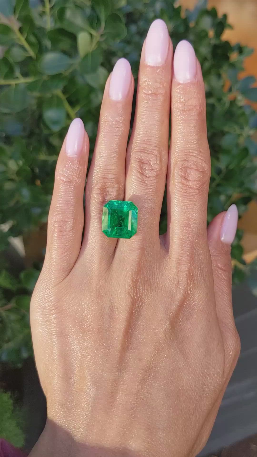 12.76 Ct. Emerald from Zambia Size Video