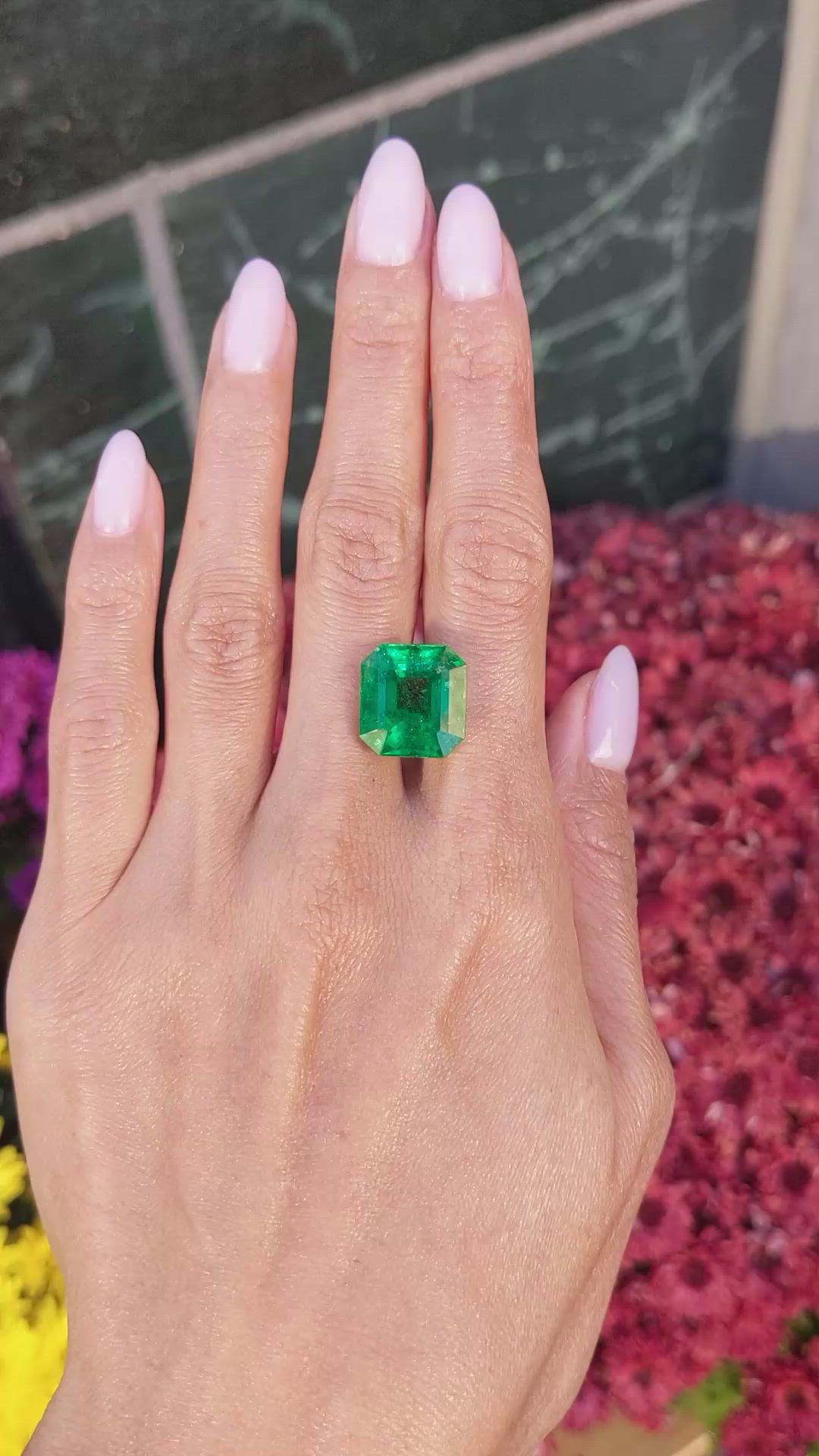 12.76 Ct. Emerald from Zambia Size Video