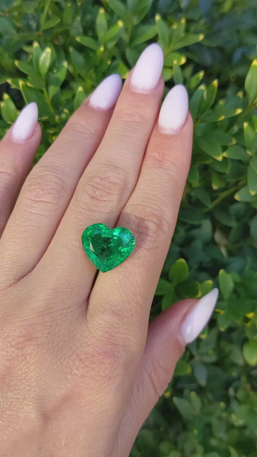 7.94 Ct. Emerald from Zambia Size Video