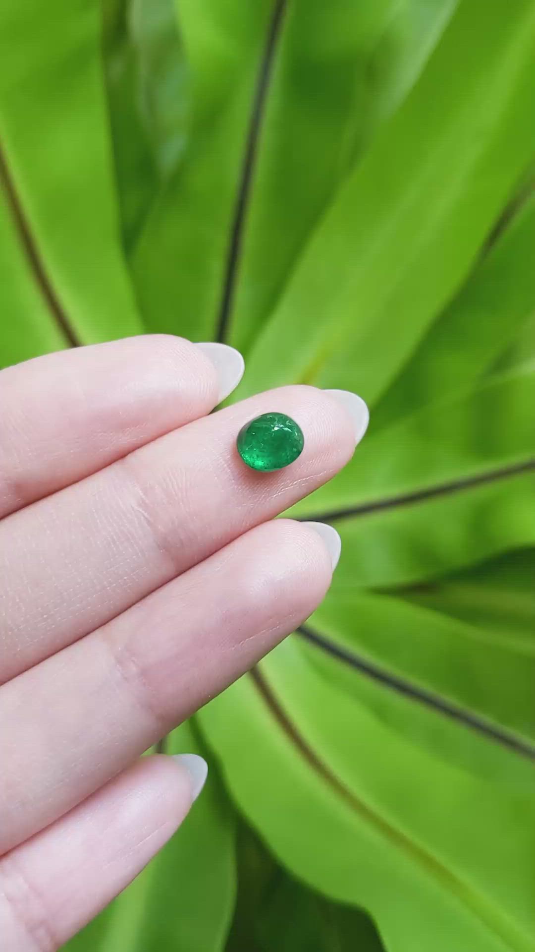 1.11 Ct. Cabochon Emerald from Pakistan Size Video