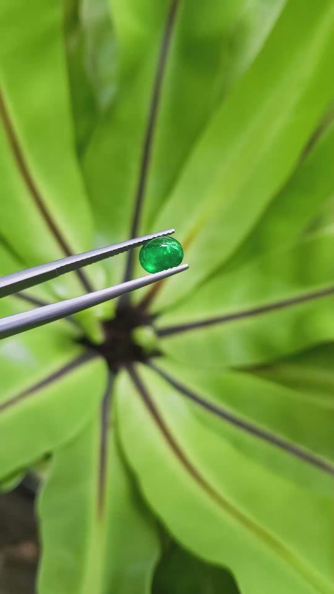 1.11 Ct. Cabochon Emerald from Pakistan Size Video