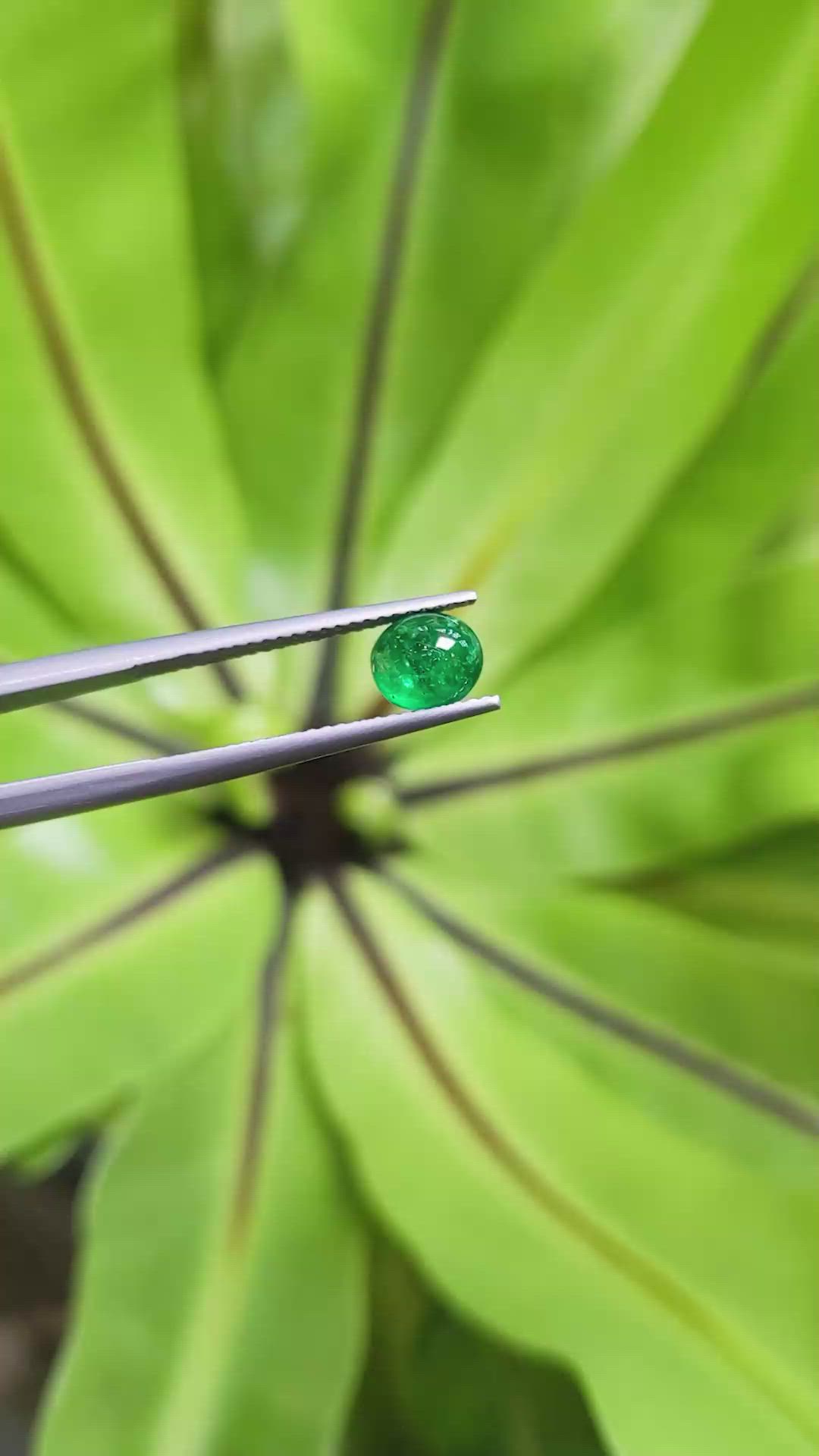1.15 Ct. Cabochon Emerald from Pakistan Size Video