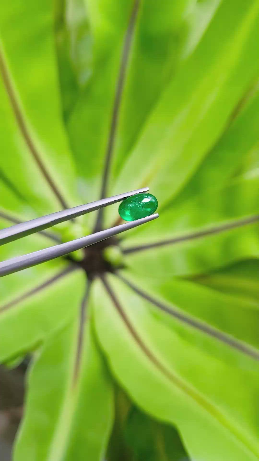 1.11 Ct. Cabochon Emerald from Pakistan Size Video
