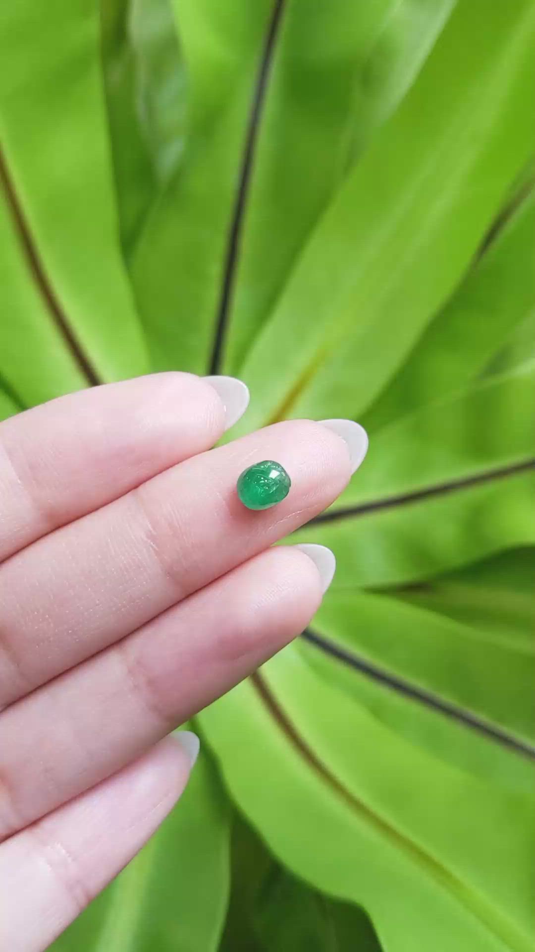 0.73 Ct. Cabochon Emerald from Pakistan Size Video