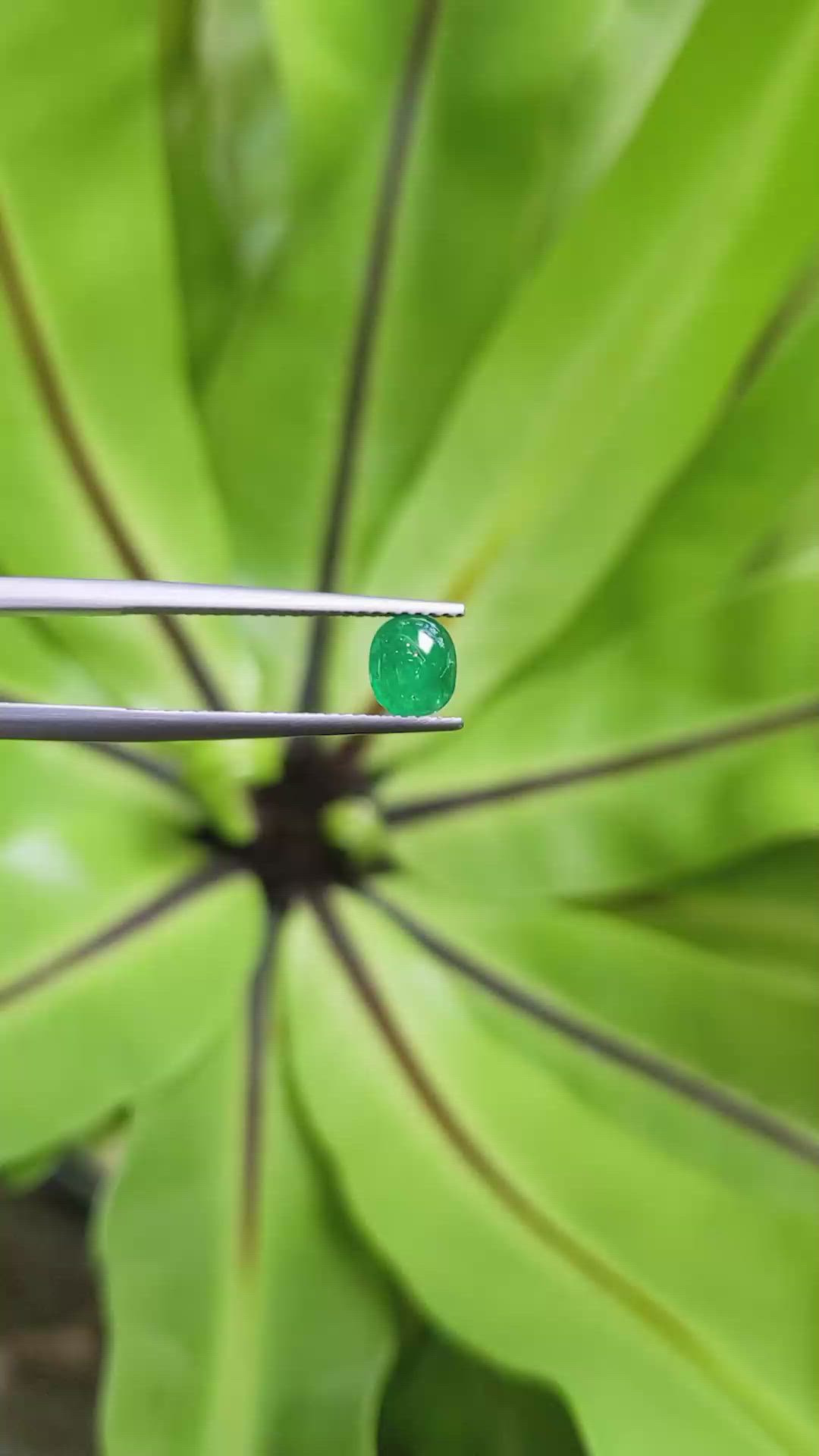 0.73 Ct. Cabochon Emerald from Pakistan Size Video