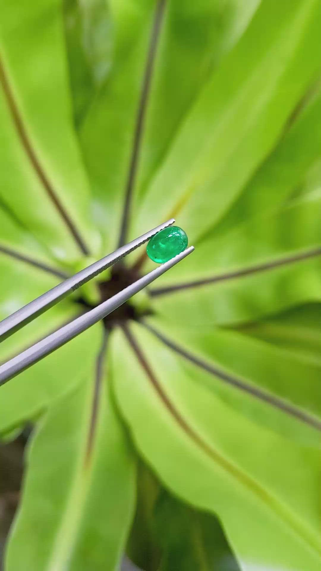 1.06 Ct. Cabochon Emerald from Pakistan Size Video
