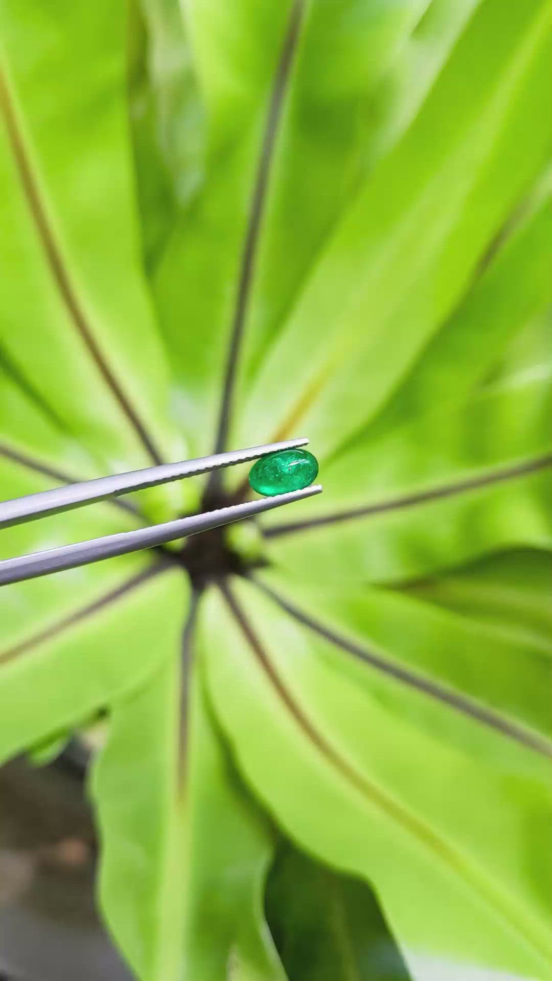 0.80 Ct. Cabochon Emerald from Pakistan Size Video