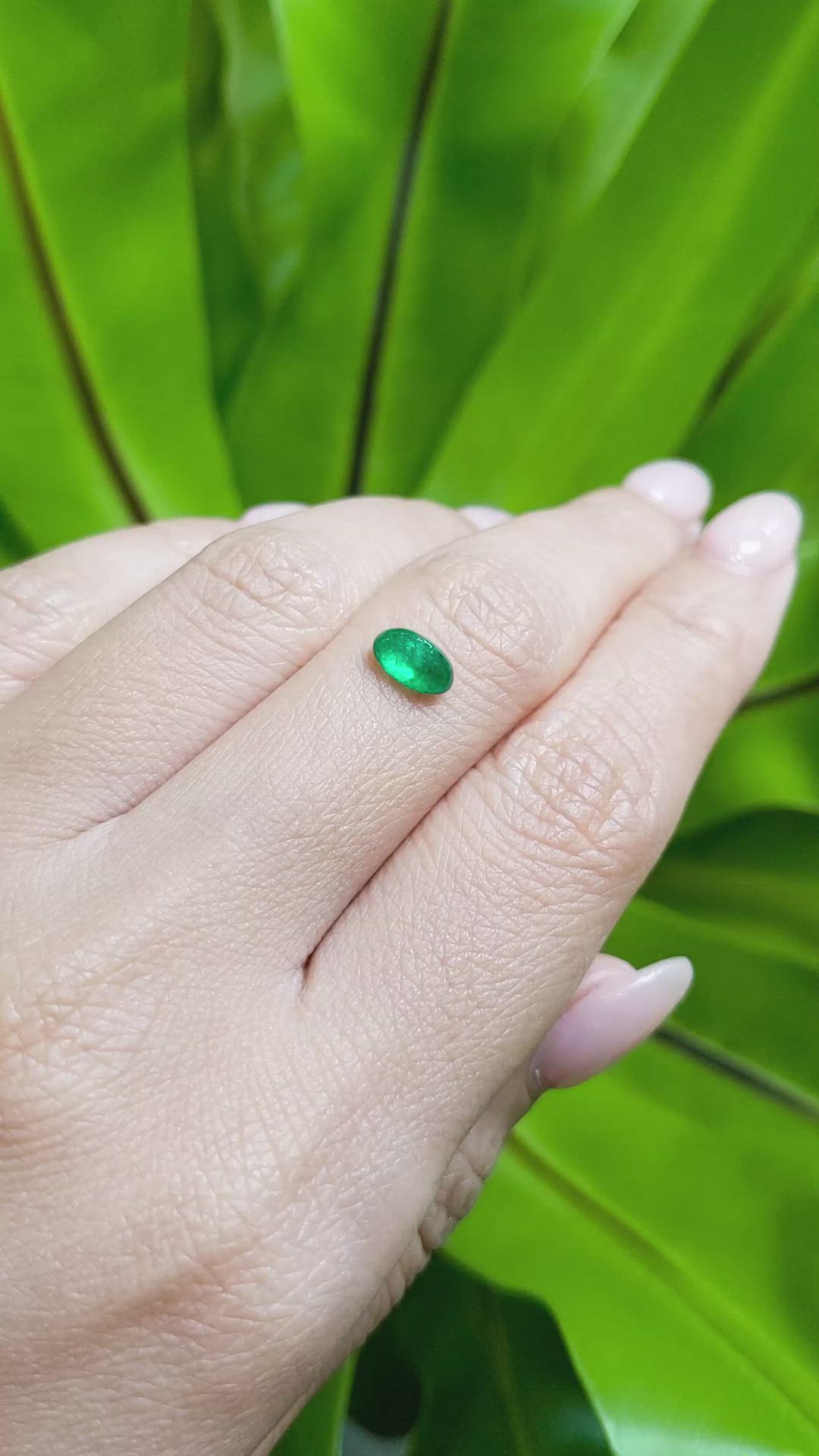0.80 Ct. Cabochon Emerald from Pakistan Size Video