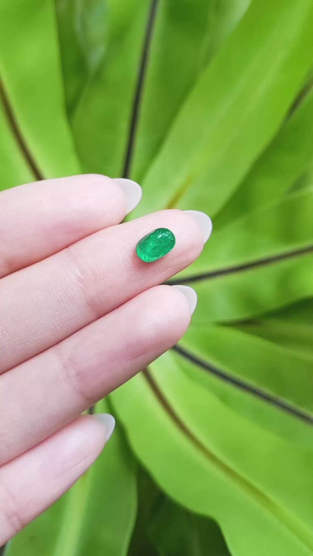 1.16 Ct. Cabochon Emerald from Pakistan Size Video