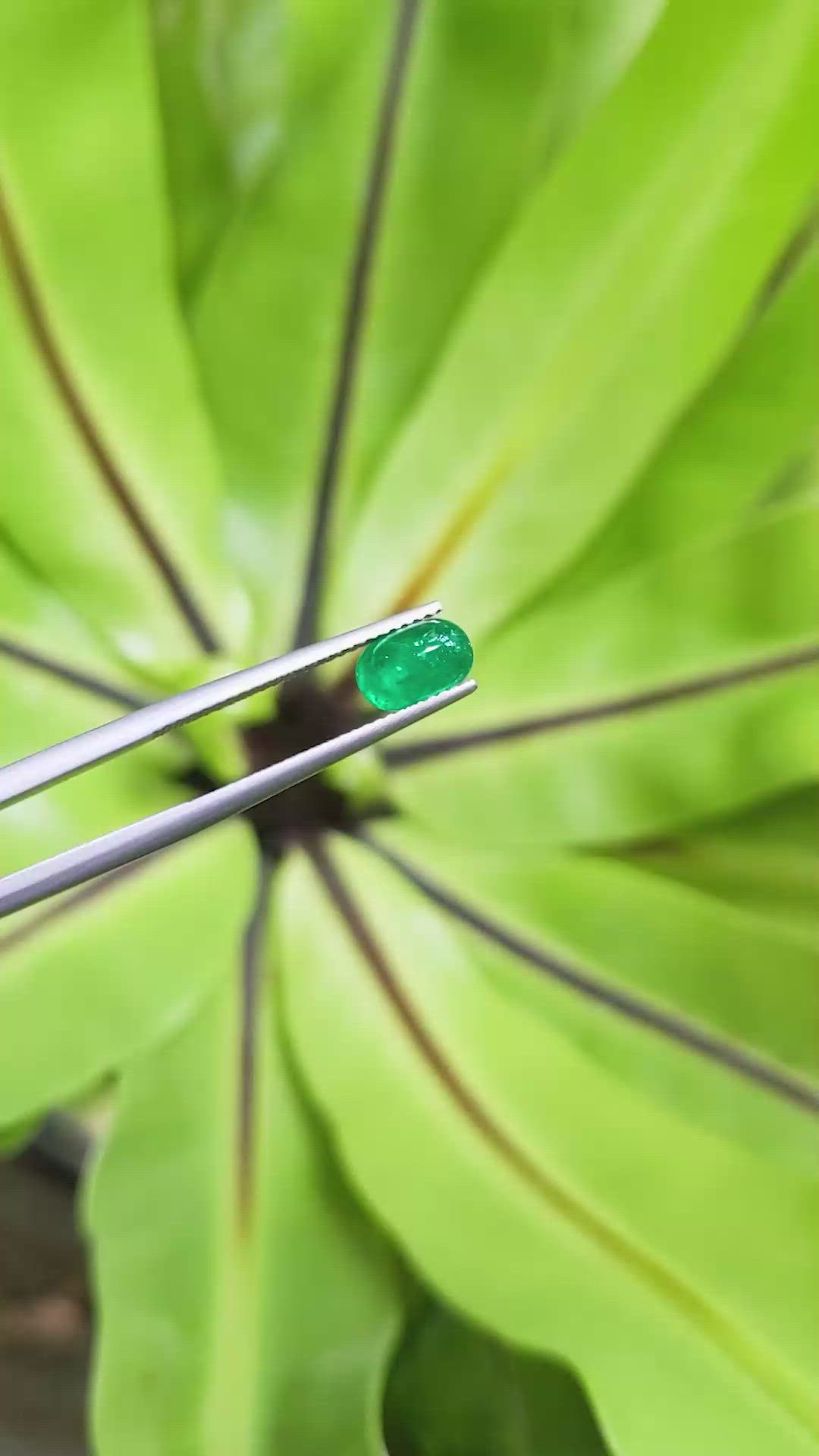 1.16 Ct. Cabochon Emerald from Pakistan Size Video