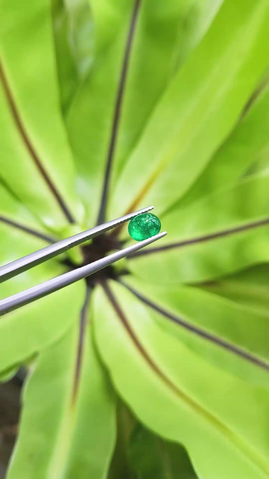 1.30 Ct. Cabochon Emerald from Pakistan Size Video
