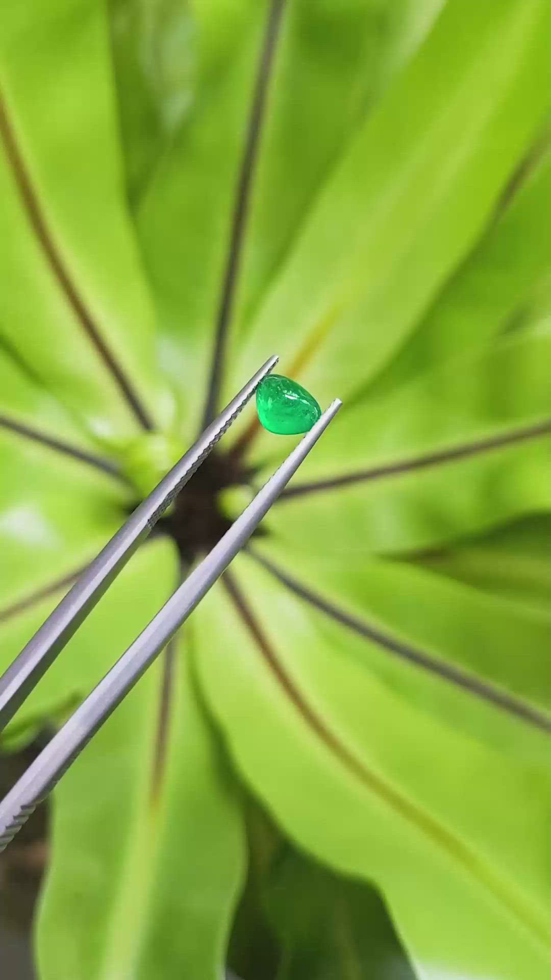 0.83 Ct. Cabochon Emerald from Pakistan Size Video