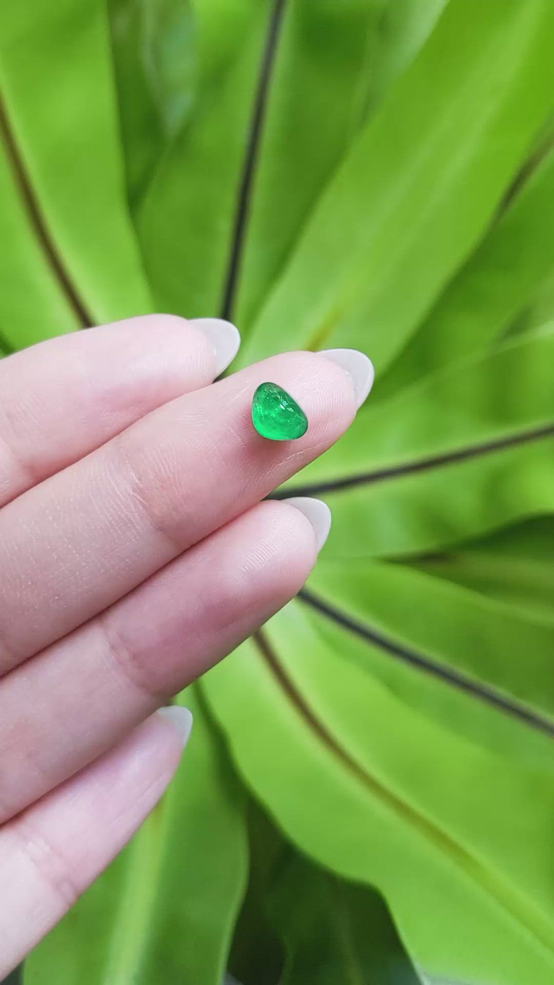 0.83 Ct. Cabochon Emerald from Pakistan Size Video