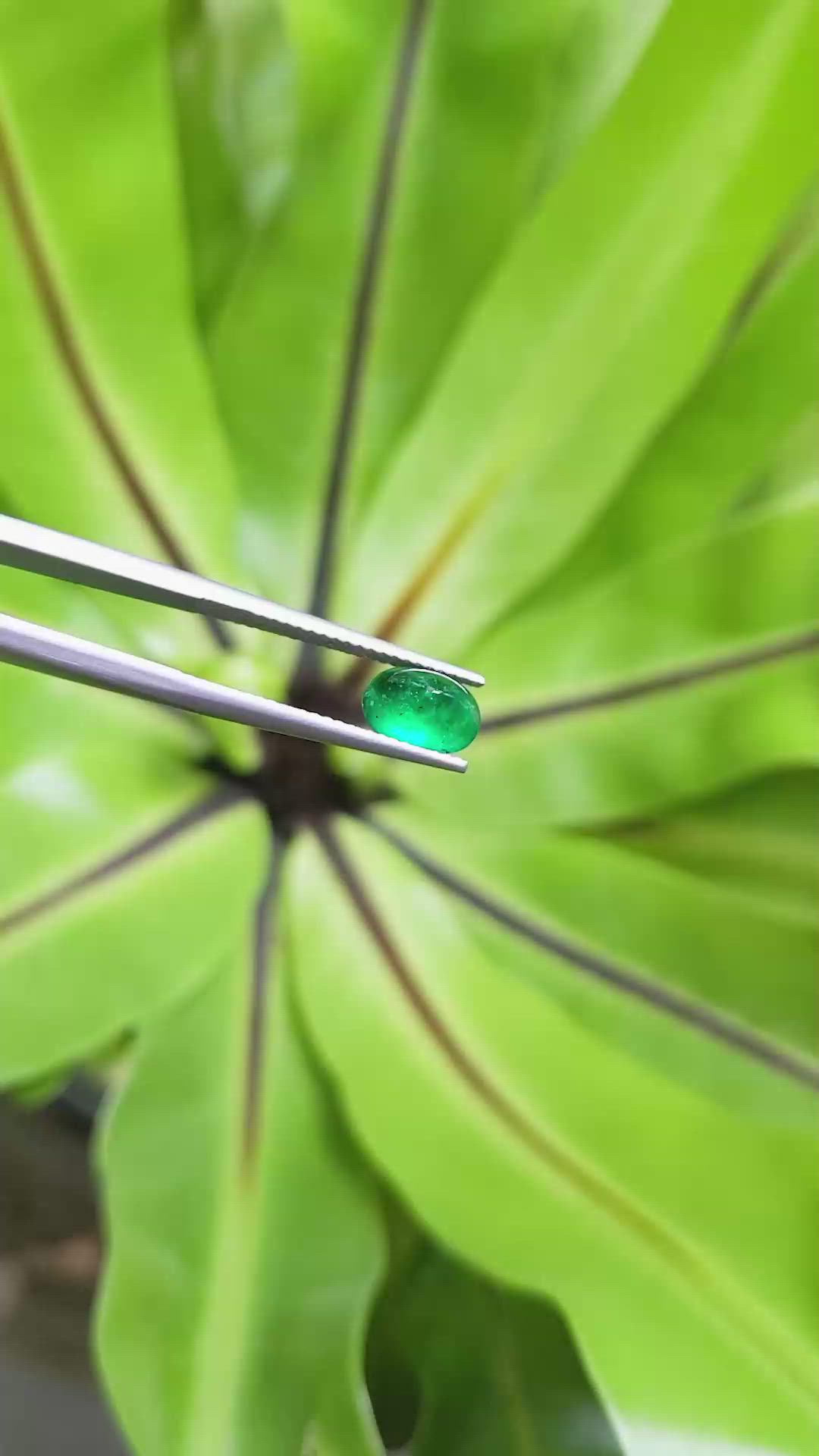 1.35 Ct. Cabochon Emerald from Pakistan Size Video