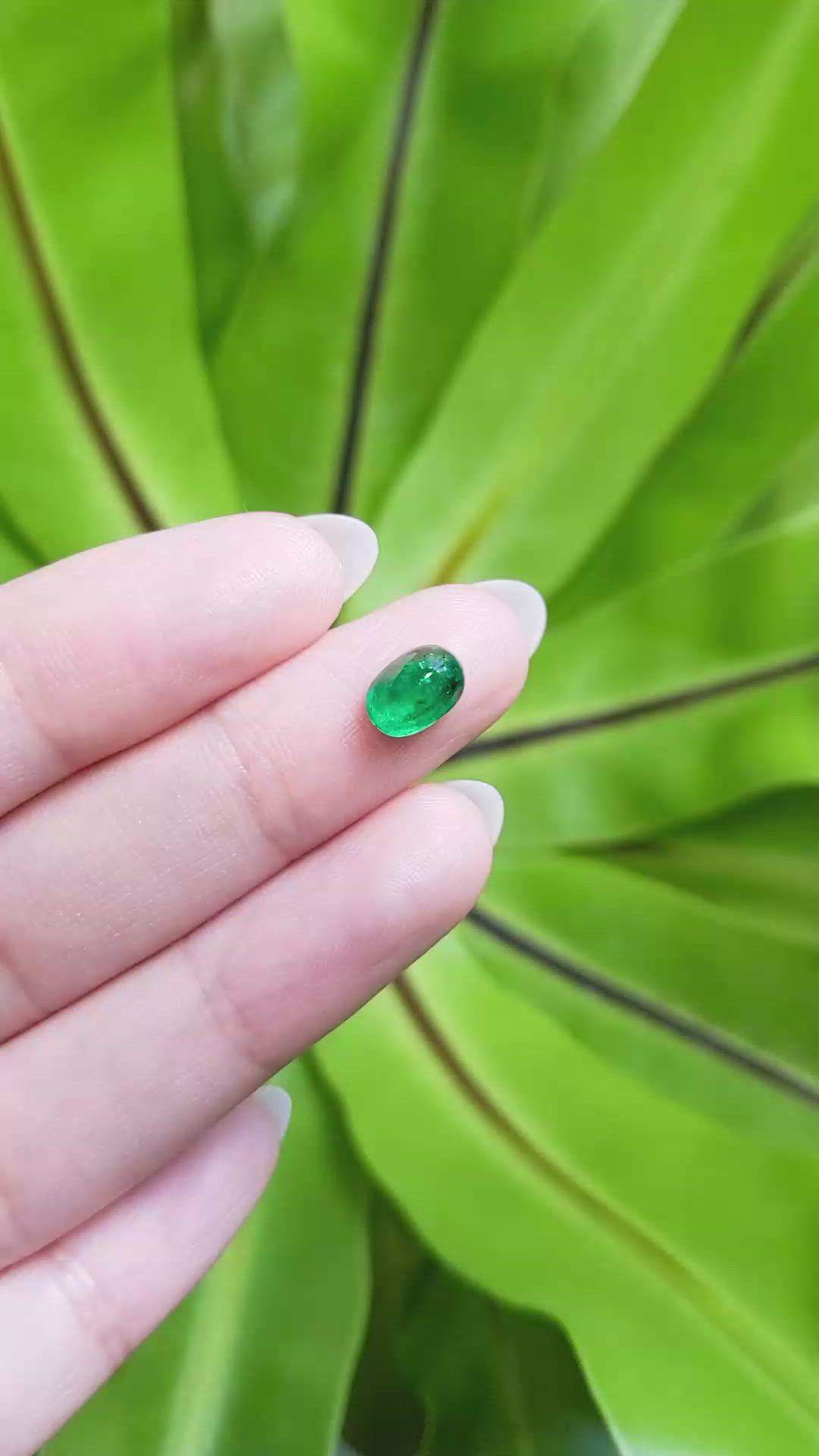 1.35 Ct. Cabochon Emerald from Pakistan Size Video