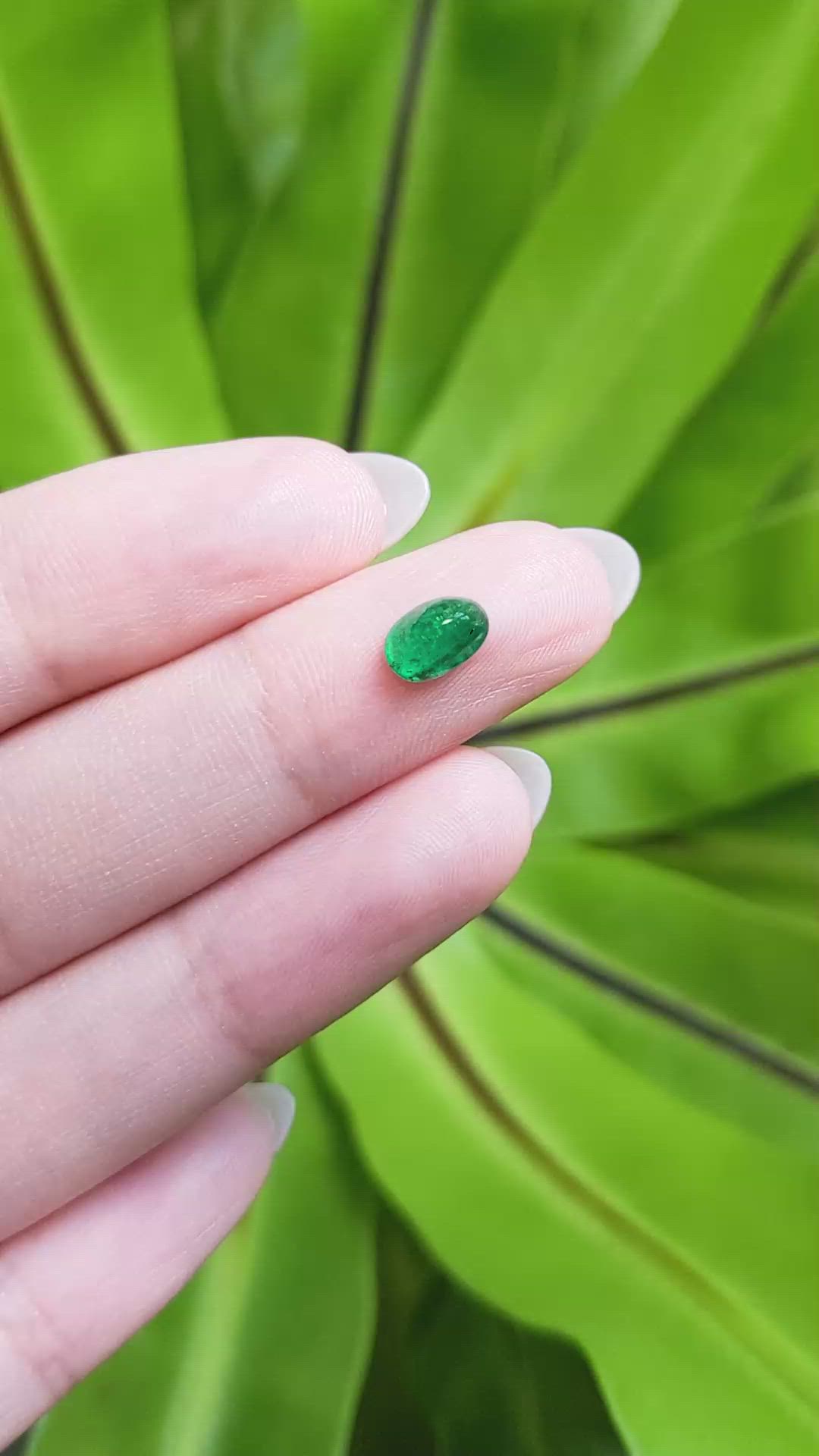 0.78 Ct. Cabochon Emerald from Pakistan Size Video