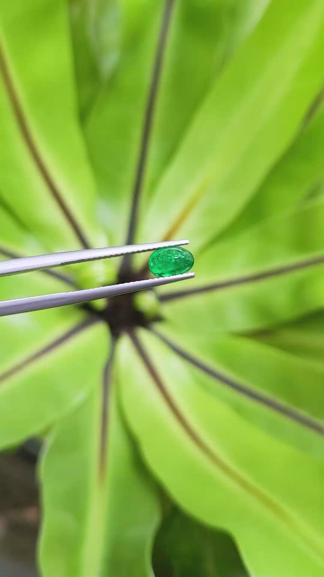 0.78 Ct. Cabochon Emerald from Pakistan Size Video