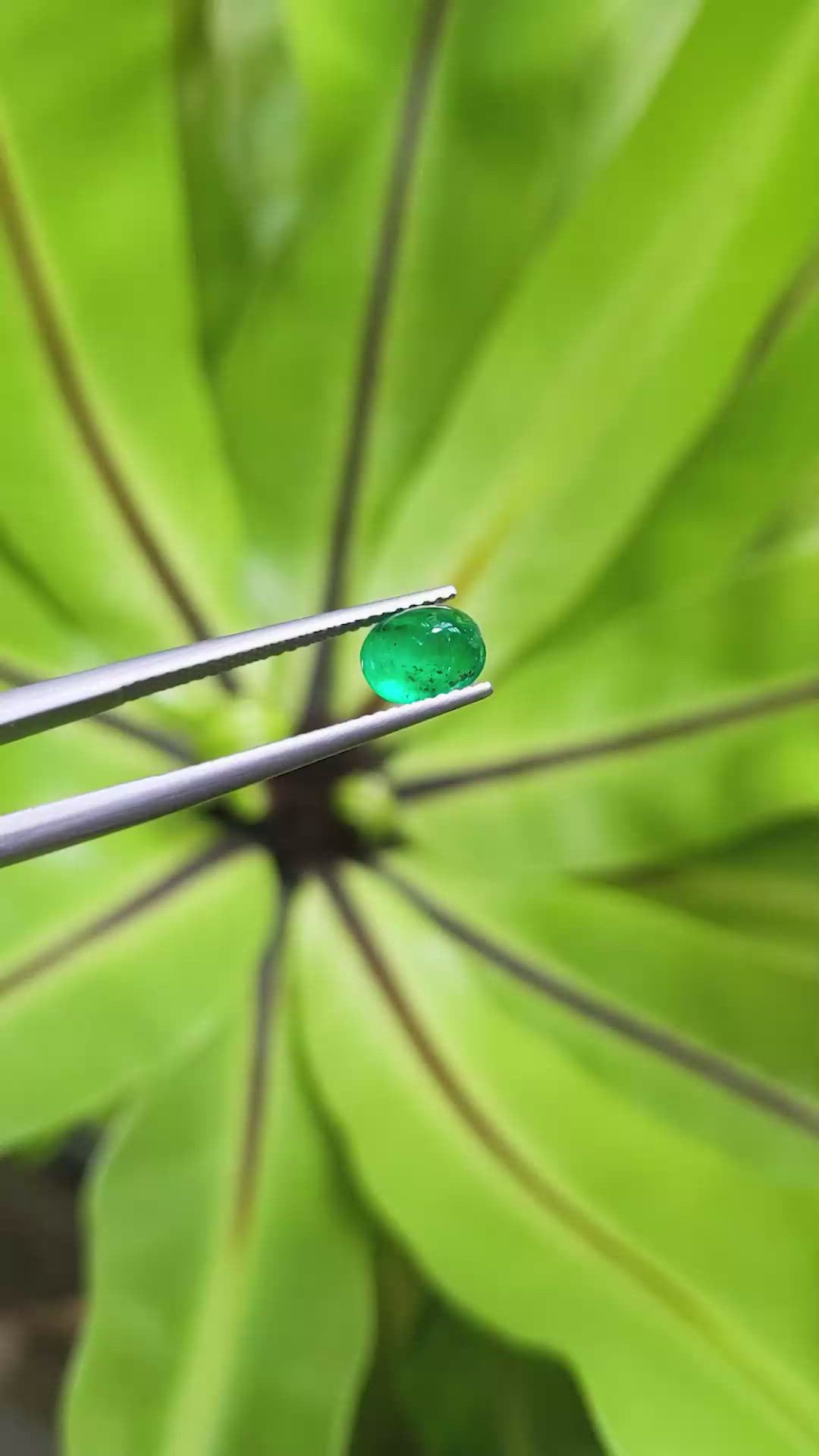 1.11 Ct. Cabochon Emerald from Pakistan Size Video