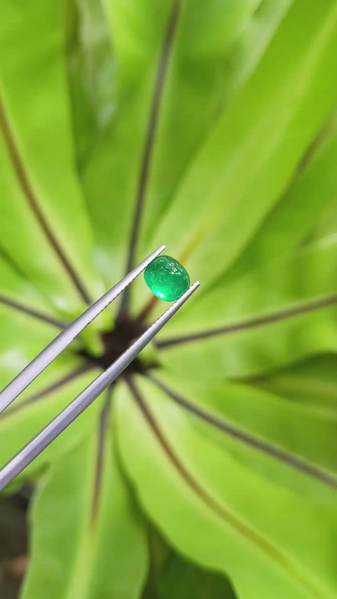 1.10 Ct. Cabochon Emerald from Pakistan Size Video