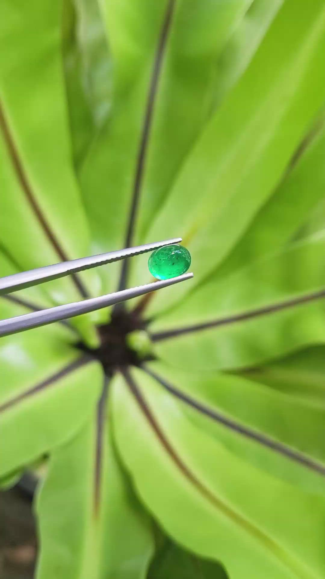 1.46 Ct. Cabochon Emerald from Pakistan Size Video