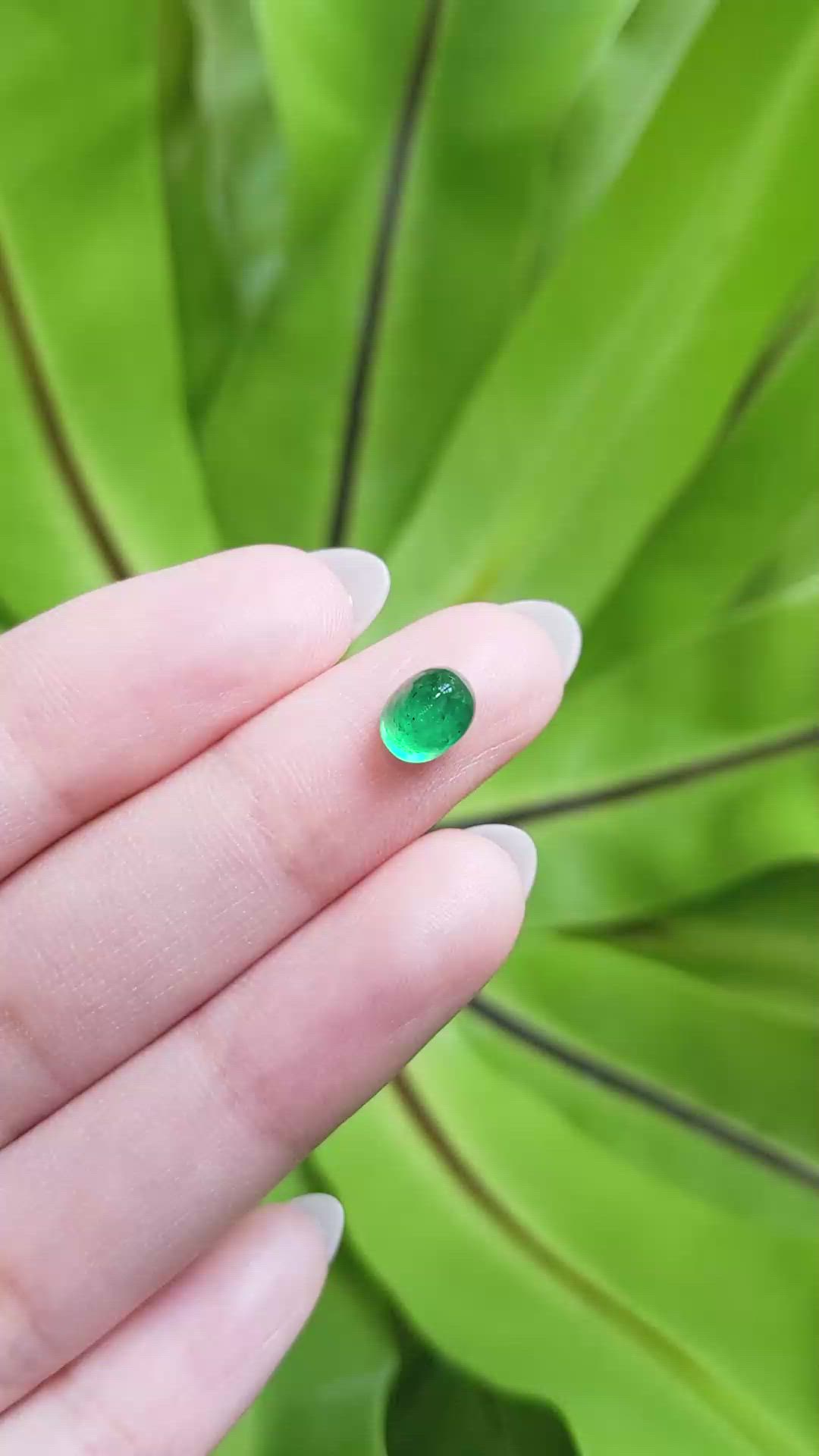 1.46 Ct. Cabochon Emerald from Pakistan Size Video