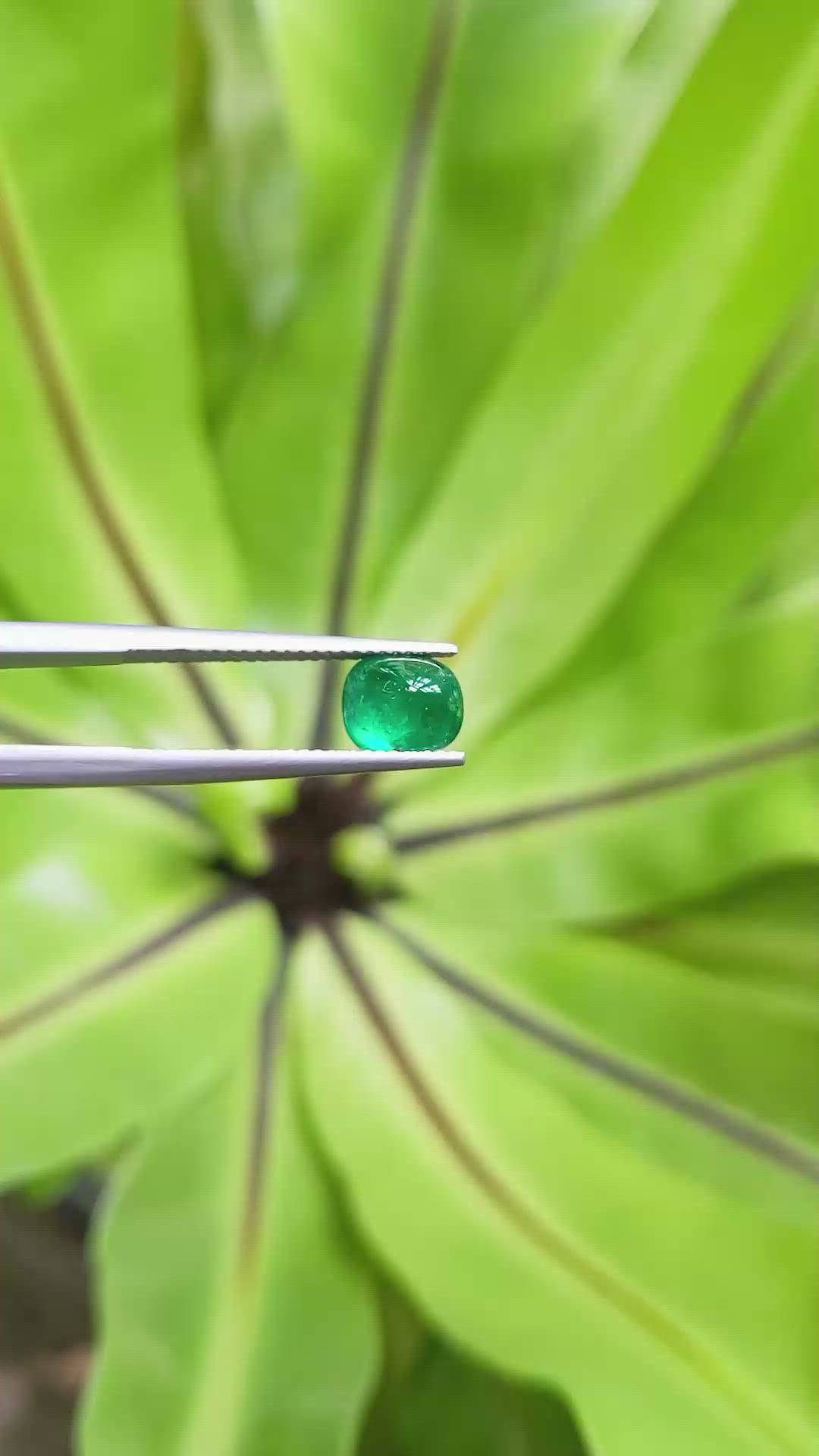 1.18 Ct. Cabochon Emerald from Pakistan Size Video