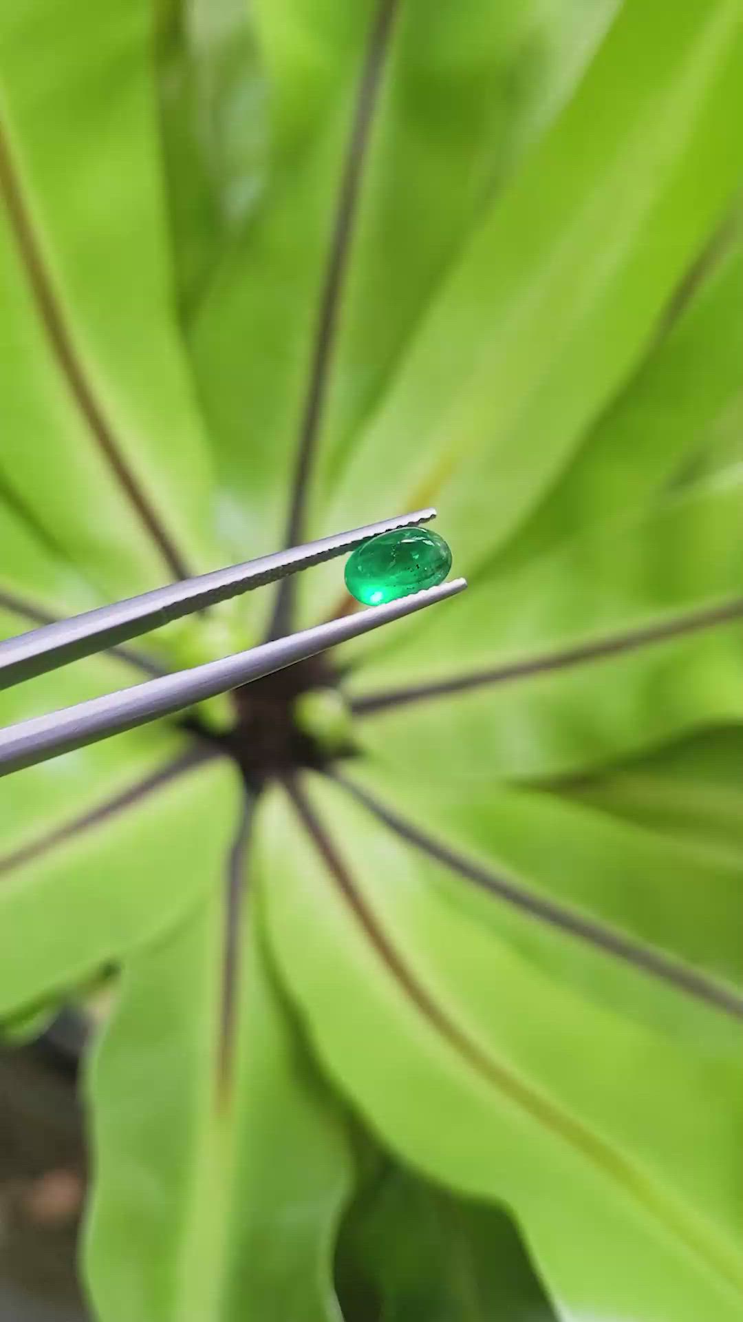 1.11 Ct. Cabochon Emerald from Pakistan Size Video