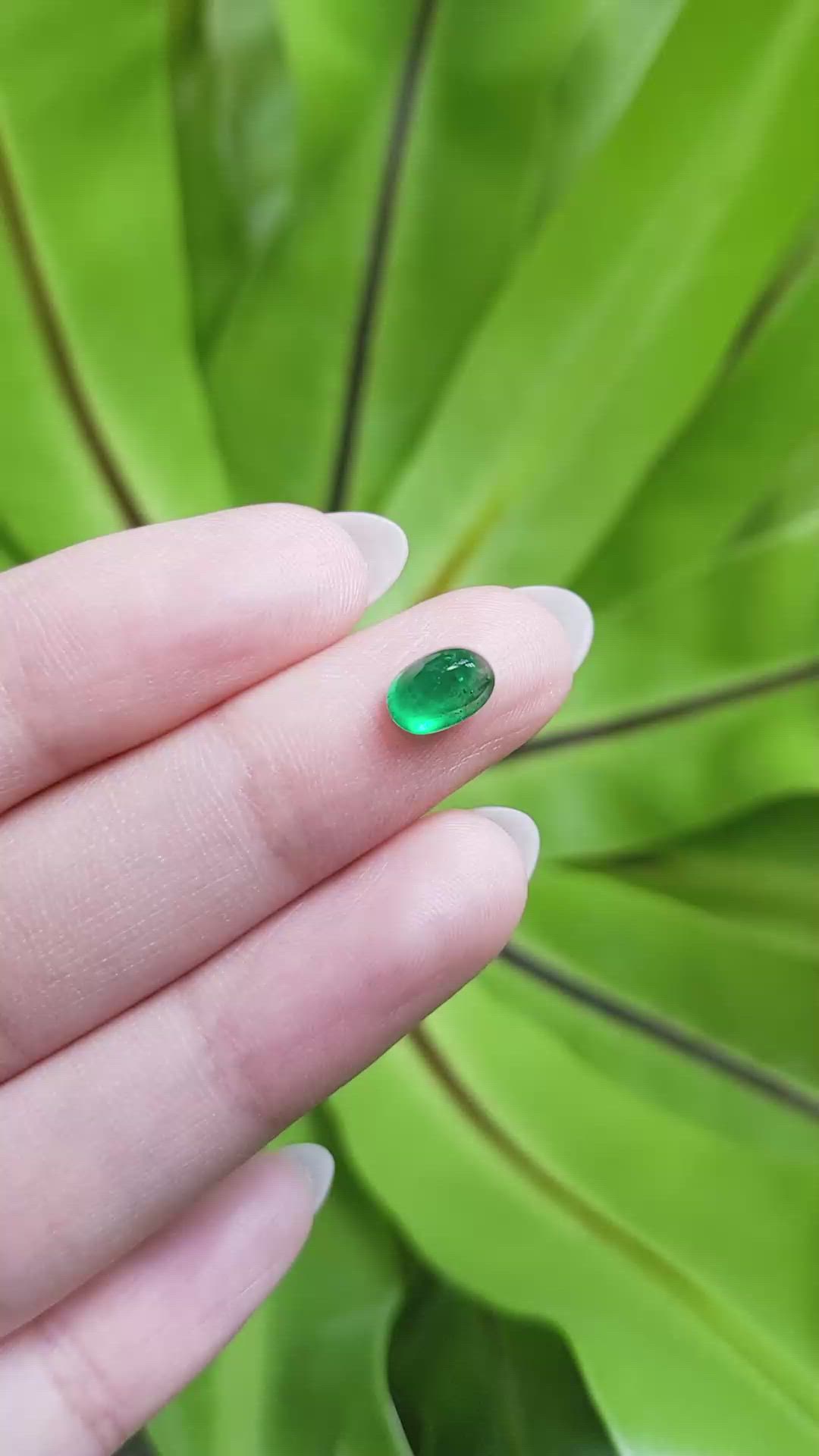 1.11 Ct. Cabochon Emerald from Pakistan Size Video