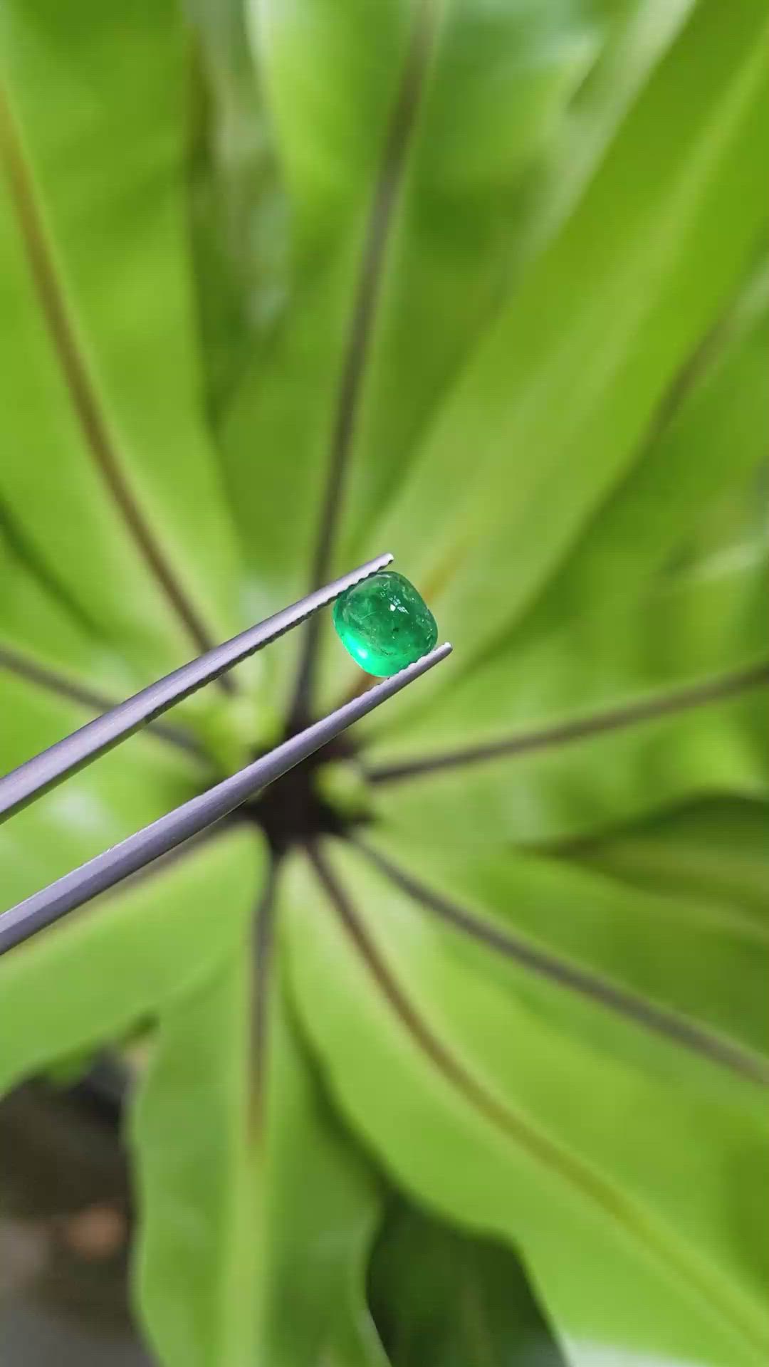 1.47 Ct. Cabochon Emerald from Pakistan Size Video
