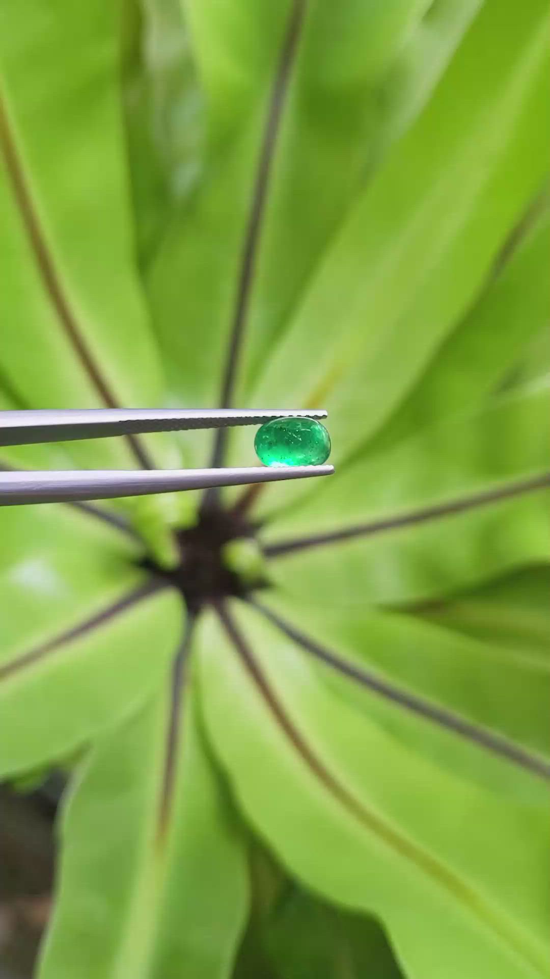 1.39 Ct. Cabochon Emerald from Pakistan Size Video