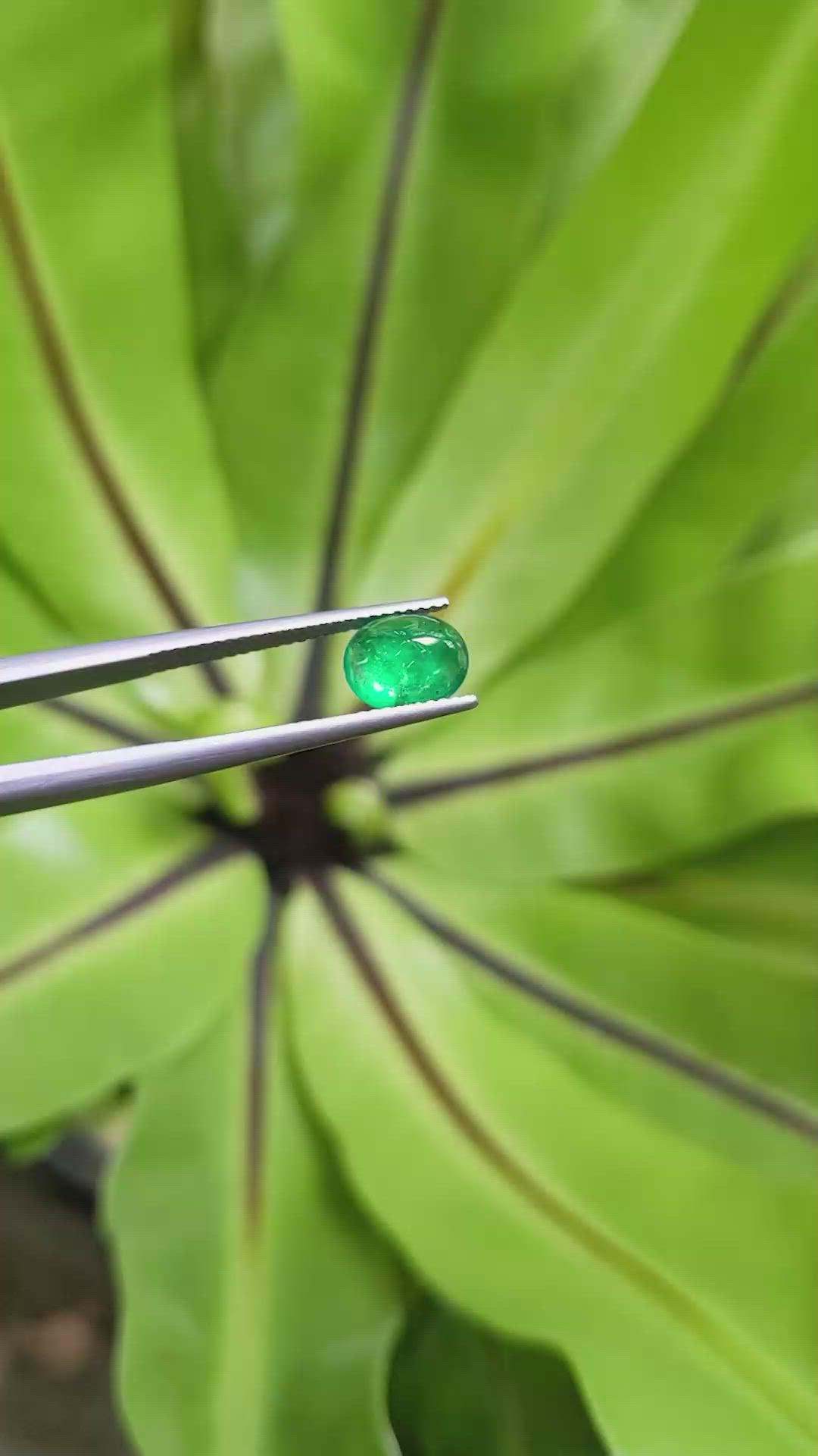 1.32 Ct. Cabochon Emerald from Pakistan Size Video