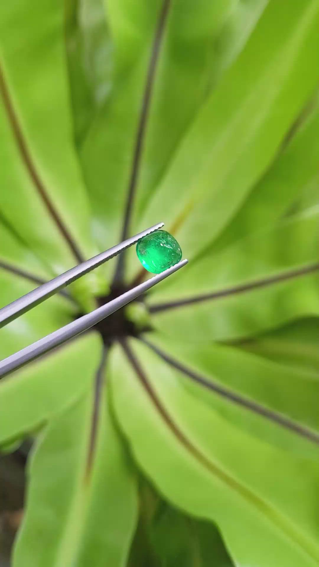 1.50 Ct. Cabochon Emerald from Pakistan Size Video
