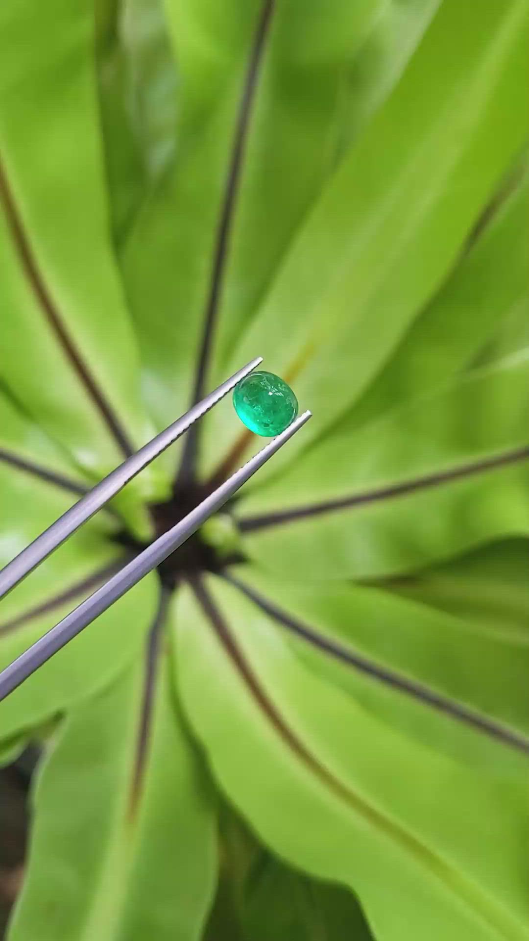 1.56 Ct. Cabochon Emerald from Pakistan Size Video