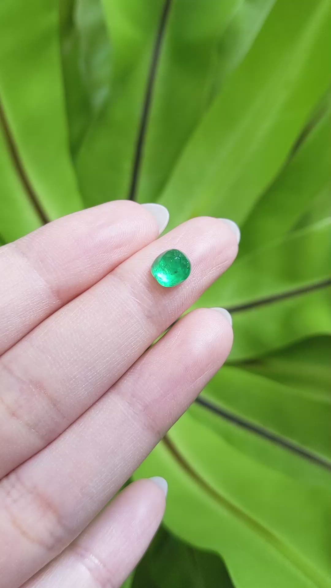 1.56 Ct. Cabochon Emerald from Pakistan Size Video