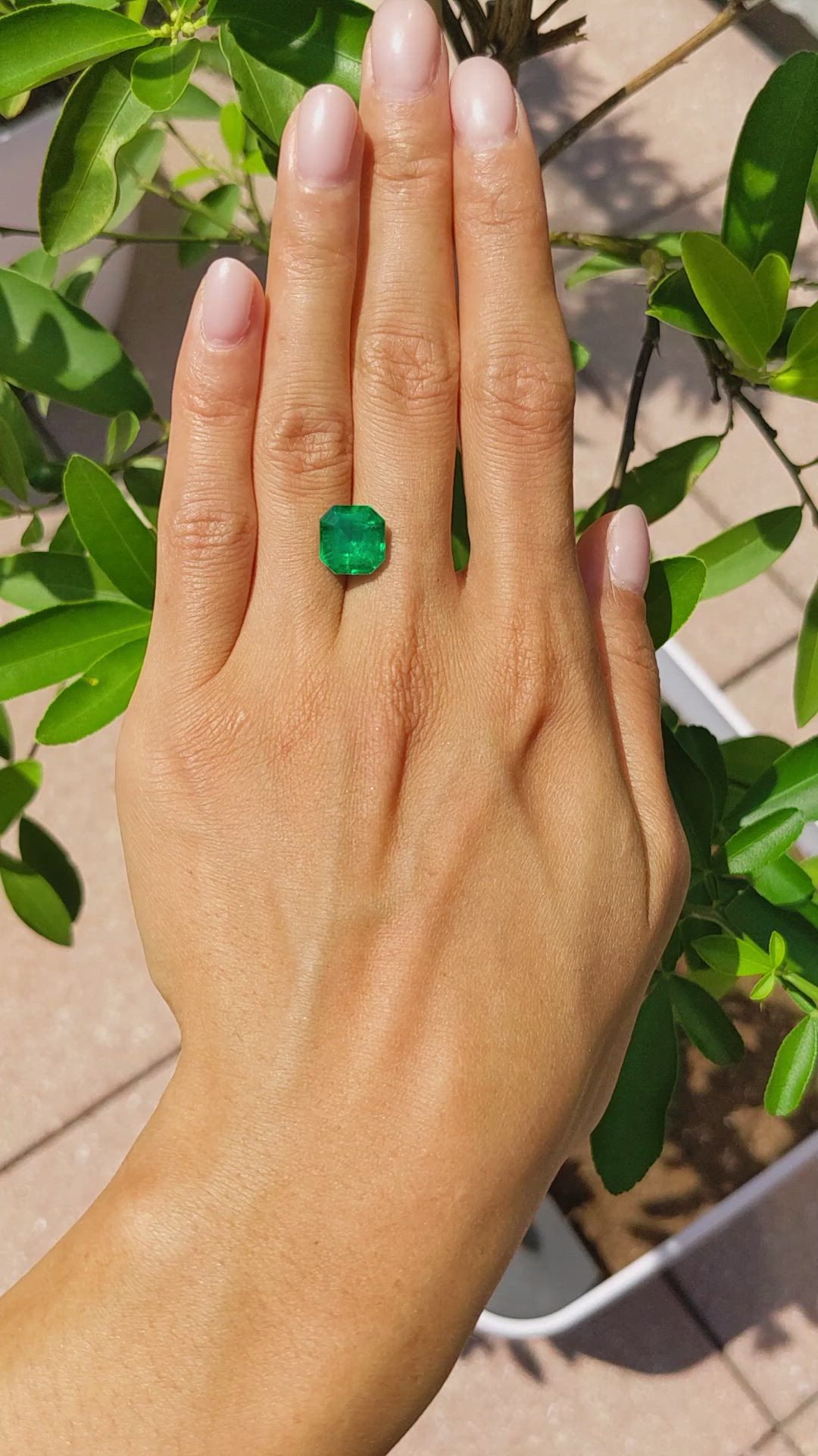 4.18 Ct. Emerald from Colombia Size Video