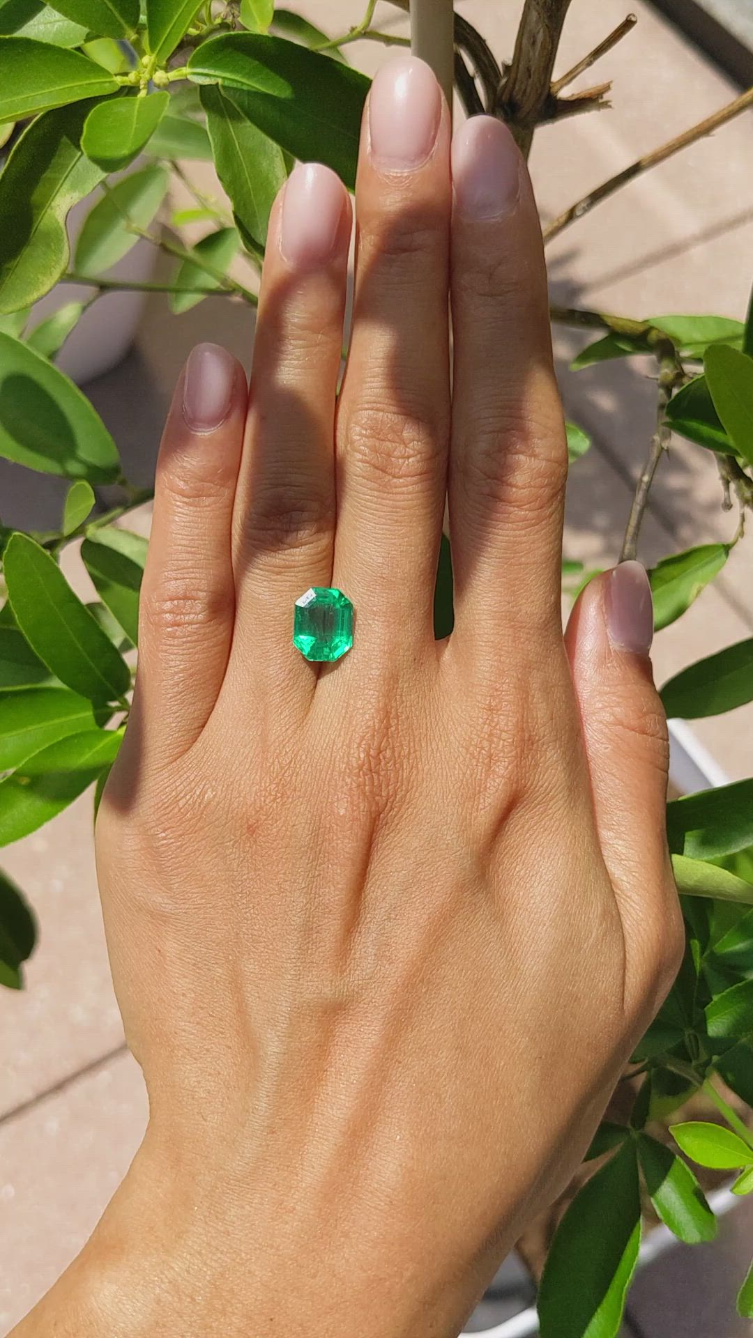 4.19 Ct. Emerald from Colombia Size Video