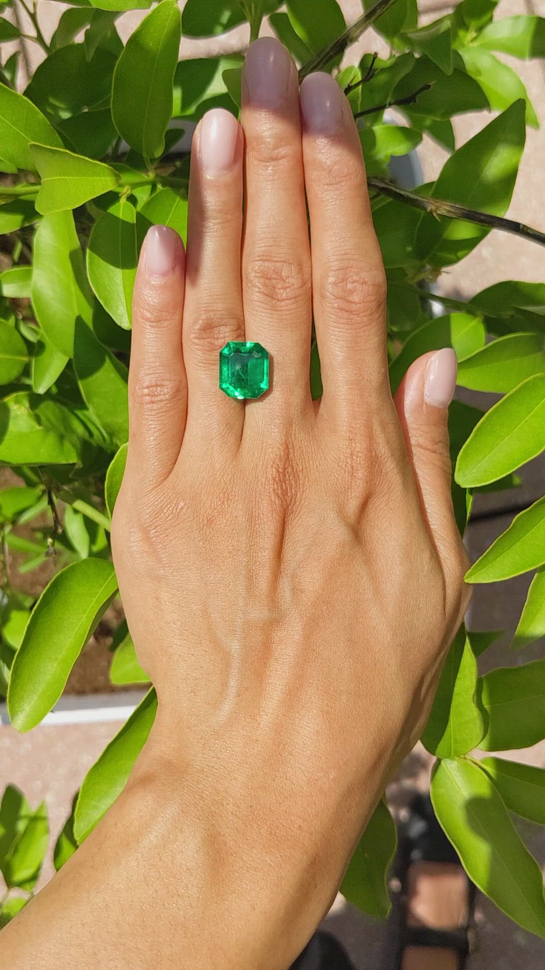 7.85 Ct. Emerald from Colombia Size Video