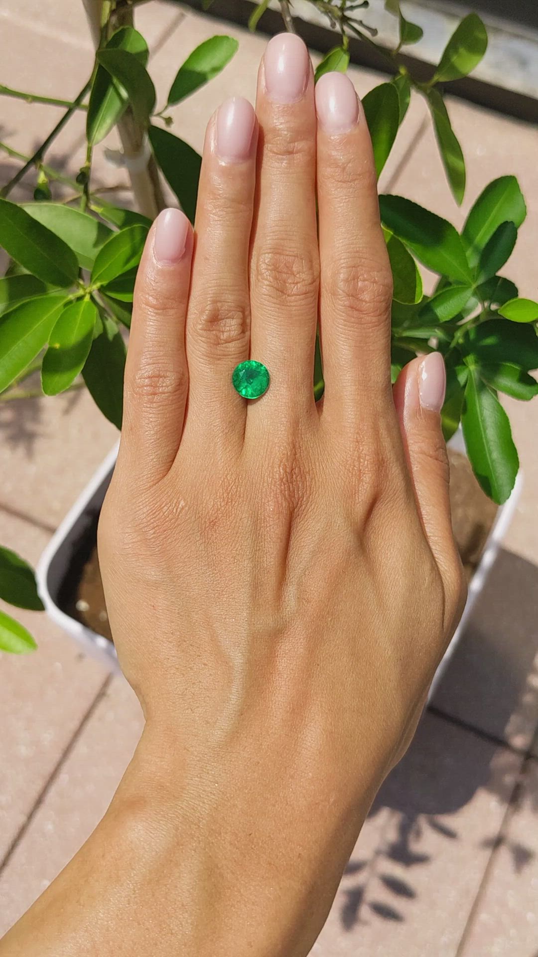 2.10 Ct. Emerald from Colombia Size Video
