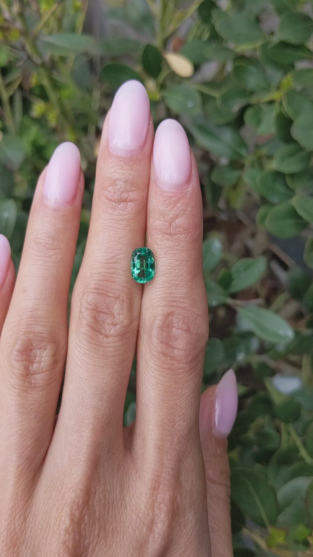 1.46 Ct. Emerald from Zambia Size Video