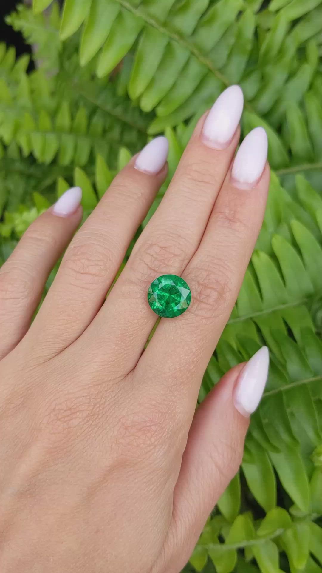 5.58 Ct. Emerald from Zambia Size Video