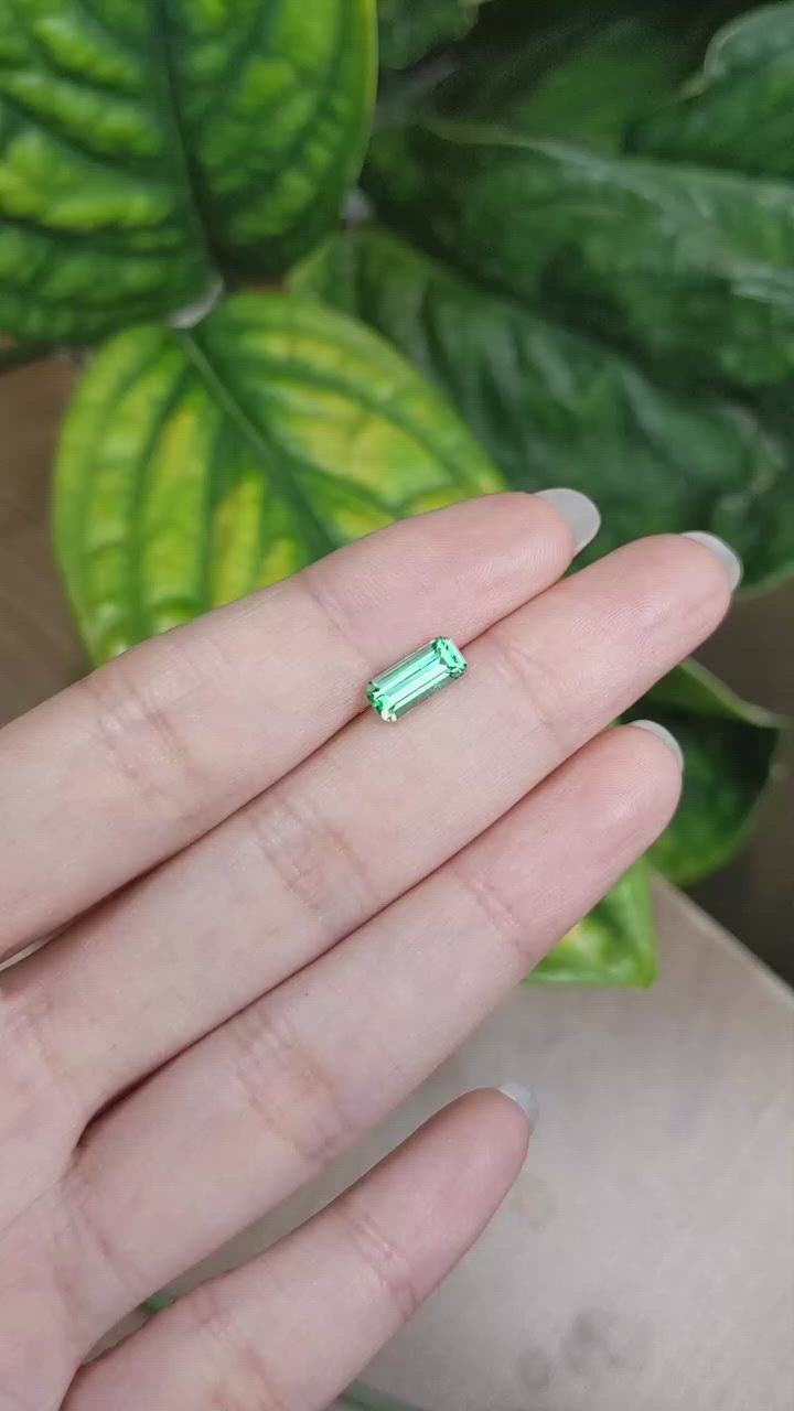 1.16 Ct. Emerald from Russia Size Video