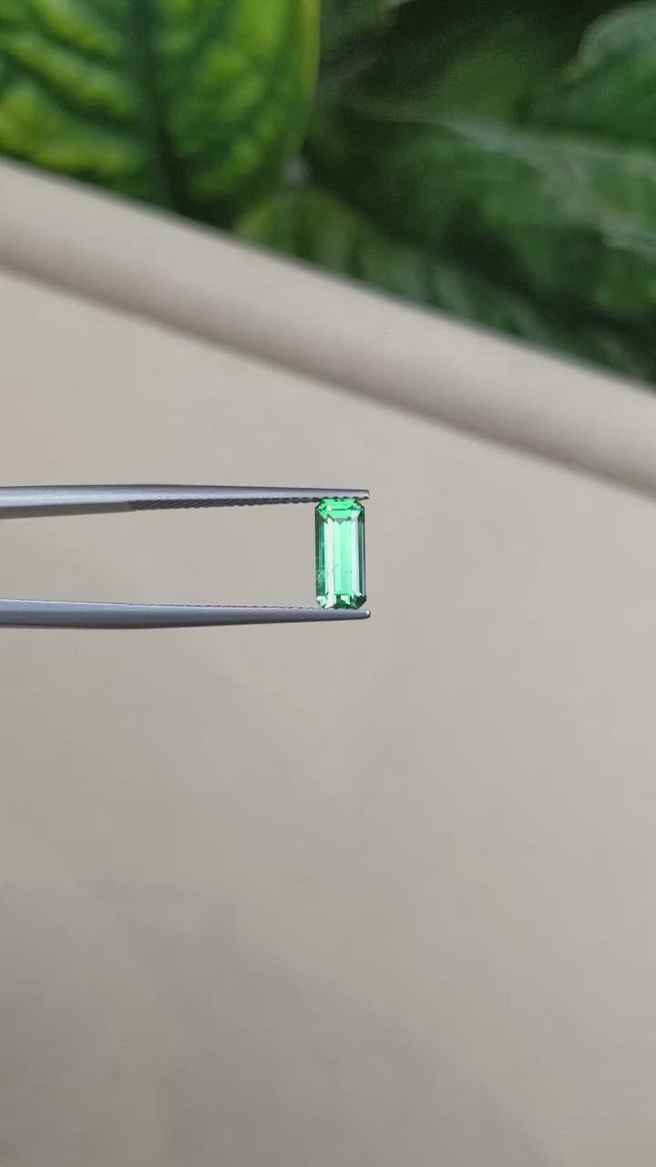 1.16 Ct. Emerald from Russia Size Video