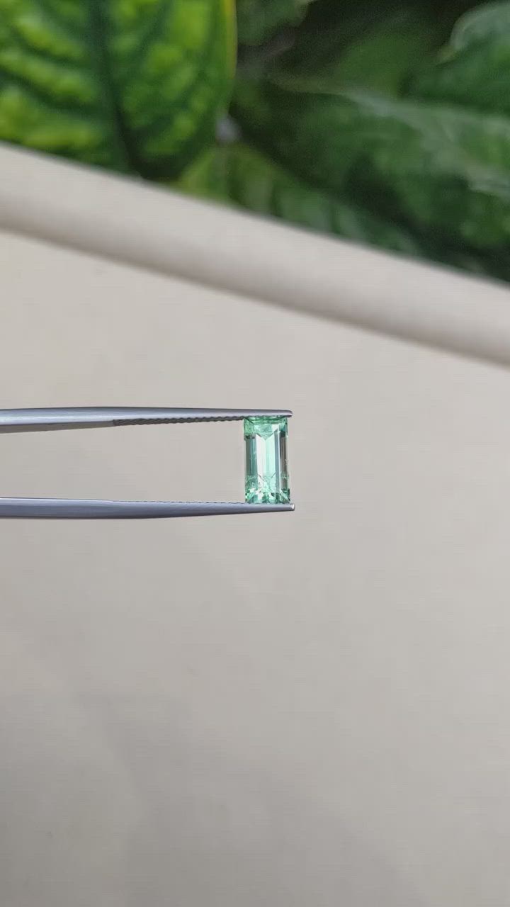 1.67 Ct. Emerald from Russia Size Video